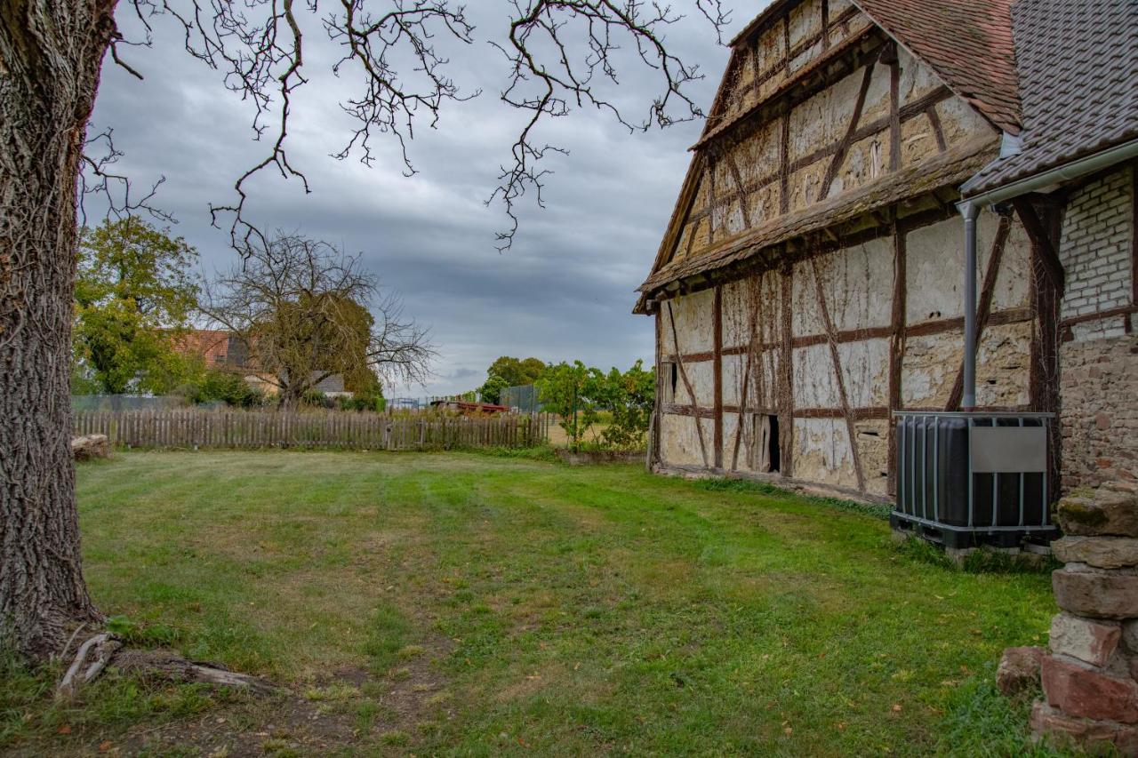 N°3 B&B bretzel et cacahuet Richtolsheim Exterior foto